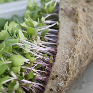 공장 직접 공급 친환경 황마 원료 황마 섬유 펠트 롤 황마 섬유 - Product Image 6