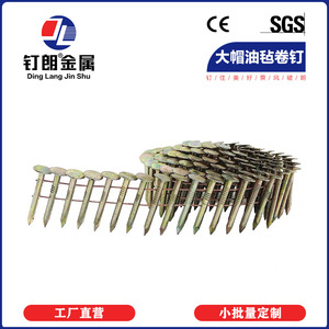 Clavos en espiral Ding Lang de gran calibre 2.87mm galvanizados para techos de asfalto, resistentes al viento, para tejas de madera - Product Image 1