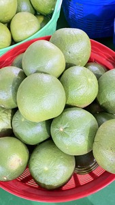 Việt Nam Màu Xanh Lá Cây Da Nho Trái Cây/Bưởi-Chất Lượng Cao Trái Cây Với Giá Tốt Nhất Cung Cấp | Lớn Bán 15% Off Hot Deal 2025 Citrus Trái Cây - Product Image 4