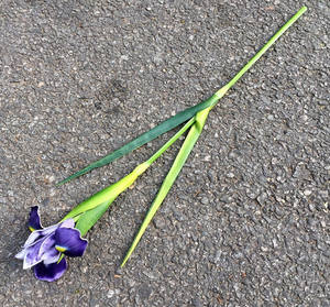 A-1083 Réel Regardant Longues Tiges <span class=keywords><strong>Fleur</strong></span> Artificielle Vraie Touche PU <span class=keywords><strong>Iris</strong></span> <span class=keywords><strong>Fleur</strong></span> pour Fête À La Maison De Mariage Fleurs Décoration - Product Image 2