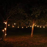 Guirlande lumineuse extérieure à LED blanc chaud IP65 incassable en PVC pour jardin, patio, arrière-cour, mariage, Noël-Guirlande lumineuse étanche