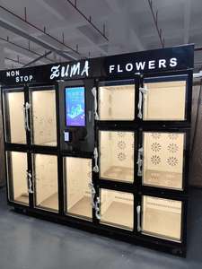 Haloo Flori Máquina de Venta Automática de 2,4 Metros de Gran Tamaño, Refrigerador Flori Máquina - Product Image 3