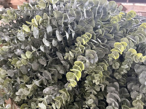 Ramas de Eucalipto Artificial de Tacto Real, Hojas Verdes, Tallo de Seda, Decoración para el Hogar y Escritorio de Halloween, Reciclable, ¡Oferta! - Product Image 6