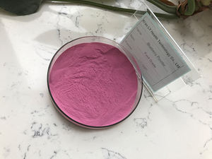 Naturel Anthocyanidines Extrait de Sureau - Product Image 3