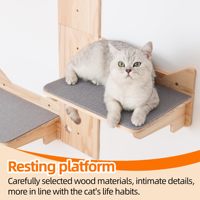 Nouveau design d'étagères et de perchoirs pour chats pour mur ensemble de marches d'escalade murales pour chat personnalisé étagères murales pour chat de jeu