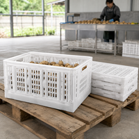 Caisse en plastique pliable, empilable, écologique, légère et de haute qualité pour le stockage des légumes et des fruits