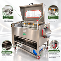 Machine à nettoyer et à peler les pommes de terre avec système de rouleaux à brosses rotatifs pour les lignes de transformation des pommes de terre