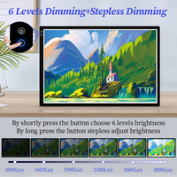 Tablero de dibujo LED iluminado de 6 brillantes ultrafino de etiqueta privada, tableros de escritura de copia de animación simples hechos de plástico