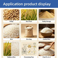 Machine de décorticage du riz intégrée à commande numérique pour usage commercial