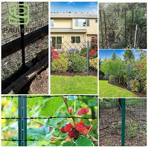 Rifornimento di fabbrica paletta <span class=keywords><strong>in</strong></span> <span class=keywords><strong>cemento</strong></span> palette palette <span class=keywords><strong>in</strong></span> metallo verniciato a polvere - Product Image 3