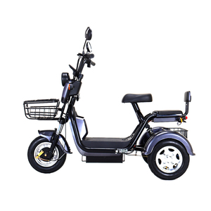 Nuevo Triciclo Eléctrico de 14 Pulgadas, Venta Caliente 2024, 600W, Batería de Plomo-Ácido de 12Ah, Scooter Eléctrico de Moda, Bicicleta Eléctrica de Carga - Product Image 1