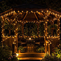IP67 Wasserdichte Outdoor LED-Lichterkette aus Gummi für Weihnachtsbaumdekoration