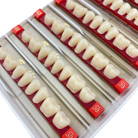 Dentier Dents postérieures Fausses dents dentaires Dents en résine acrylique à 2 couches