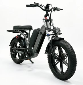 20 Inch Fat Tire 7-Speed Alloy Steel <b>Frame</b> Disc Brakes Electric Cargo <b>bicycle</b> Rear Rack Brushless Electric 36V70AH Long - Product Image 2