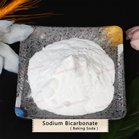 Bicarbonato de Sodio (Bicarbonato de Sodio) 99% Mín. CAS:144-55-8, Grado Alimenticio para Cocina, Limpieza y Salud