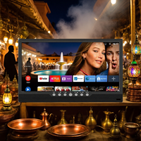 Mini 12V DC wiederauf ladbarer tragbarer Fernseher 14 Pouce LED HDTV mit Hintergrund beleuchtung für die Küche für Afrika