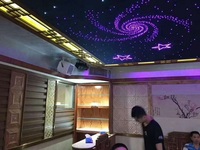 Twinkle Rgb Movie Theater Decor Kit de lumière à fibre optique Moteur Starlight Glimmer avec fibre optique 0.5mm