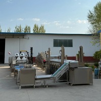 Automatische multifunctionele productielijn voor diepvriesfrieten van groenten, hoge efficiëntie, eenvoudige bediening