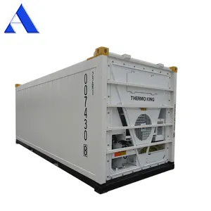 DNV 2.7-1 Standard BV Or LR Certified Thermo King Cooling Machine New 20ft Offshore Reefer Container Price