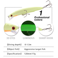 Leurres de pêche méné 12cm/17g leurres durs flottants lumineux Simulation leurres artificiels matériel de pêche en eau de mer d'eau douce