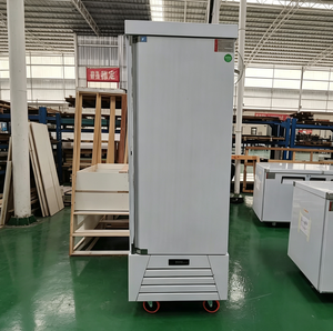Réfrigérateur vertical commercial à porte simple robuste BLD1, construction en acier inoxydable de qualité alimentaire pour une durabilité exceptionnelle - Product Image 6