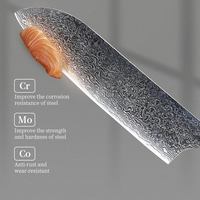 7 inch Santoku-mes professioneel 67-laags damaststaal keukenmes voor groenten en vlees met hars en houten handvat