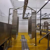 Solution complète de ligne d'abattage de porcs à haute efficacité, équipement de boucherie pour abattoir/boucherie usine/usine de transformation du porc