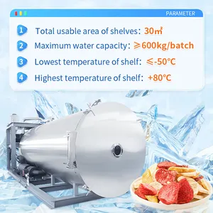Vacuum Food Freeze Dryer Machine Food Dehydrator Machine