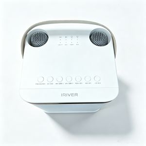 Altavoz de Karaoke para el hogar de 30W, Bluetooth 5,3, micrófono inalámbrico dual, LED RGB, 4400mAh, tipo C, compatible con TF, USB, AUX, altavoz portátil KTV - Product Image 2