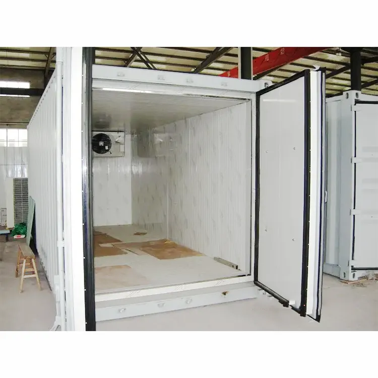 Conteneur de chambre froide de stockage à froid Fabricant de chambre froide Unité de condensation de congélateur de soufflage Machine Chambre froide Poisson