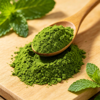 Poudre de menthe directement de l'usine, 100% naturelle, poudre de feuilles de menthe poivrée séchées pour la transformation alimentaire
