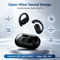 Écouteurs sans fil OWS à batterie remplaçable, Bluetooth 6.0, à oreille ouverte, avec haut-parleur de 13 mm, chargement Type C, crochets d'oreille, casque de sport