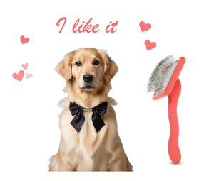 Wholesale 1 Inch Long Pins Plastic <b>Pet</b> Hair Grooming & Cleaning Shedding Slicker <b>Brush</b> for Dog and - Product Image 2