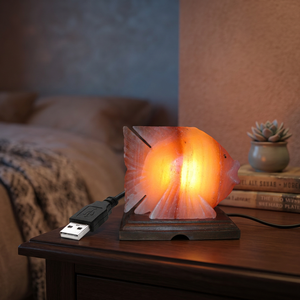 Lampe de sel rose de l'Himalaya LED avec prise USB, forme géométrique sculptée, écologique, décoration Feng Shui pour les fêtes, mini lampes de sel en gros - Product Image 1
