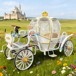 Carruaje de Caballos Estilo Inglés para Turismo, Tipo Limusina, 6 Asientos, Carruaje Eléctrico sin Caballos - Product Image 2