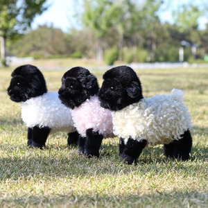 Nuevo Peluche de Oveja de Lana Rizada con Bola de Carbón, Muñeco de Peluche para Niños, Almohada Relajante para Bebés, Muñecos de Animales de Peluche - Product Image 6