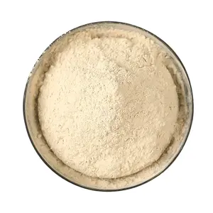 Fabricante profissional Pure Natural Organic <span class=keywords><strong>Shiitake</strong></span> Mushroom <span class=keywords><strong>Powder</strong></span> Econômico Original Sabor Tempero Tempero Spice - Product Image 4
