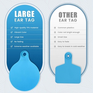 Thẻ tai gia súc lớn màu xanh cho bò bê lợn dê nhận dạng cừu mới đến thẻ tai vật nuôi trống - Product Image 5