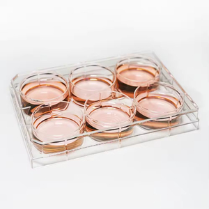 Hücre Yapışma ve Migrasyonu Üzerine Araştırma İçin Profesyonel Kültür Kuyruklu Plaka - Product Image 4