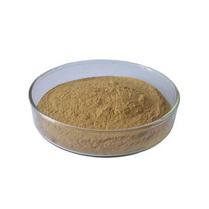 Bột Chiết Xuất Trà Xanh <span class=keywords><strong>Polyphenol</strong></span>, EGCG - Product Image 3