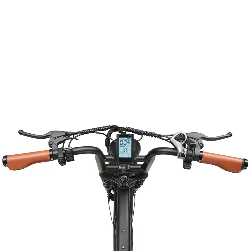 Bicicletta elettrica retrò per uomo donna set EU magazzino bici elettrica 350w 48V batteria 20 pollici grasso pneumatico adulto bici altre Ebike