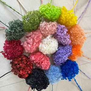 保存绣球花30厘米头安娜绣球花，用于家庭和餐厅装饰，用于婚礼和情人节插花 - Product Image 4