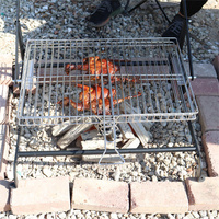 Camping en plein air Pique-nique Flip BBQ Grill Garden Roaster Peanut Charcoal Rotary Rotisserie Basket Barbecues Grill