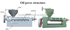 เครื่องจักรผลิตน้ำมันปาล์มจีน เครื่องกดน้ำมันผลปาล์ม - Product Image 4