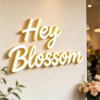 Lettres en acrylique 3D LED personnalisables, éclairées de devant/derrière, étanches IP65, options multicolores pour les bureaux, les entreprises, les hôpitaux, les parcs, DC