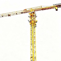 Grúa Torre, Grúa de Pluma, Grúa de Plataforma QTZ80(6012) Carga Máxima 6t Carga en Punta 1.2t Longitud de Pluma 60m para Construcción de Edificios