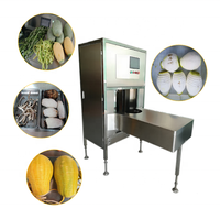Industriële Hoge Capaciteit 1-1.5 Ton Meloen Fruit Wortel Groente Pompoen Dunschiller Machine Pompoen Peeling Machine