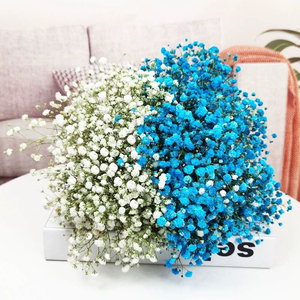 Multi Cores Flores Grinaldas Respiração Natural do Bebê Preservada Flores e Plantas para Long-Lasting Home Decor Arranjos do casamento - Product Image 4