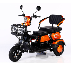 <span class=keywords><strong>2023</strong></span> vente en gros Ebike 3 roues <span class=keywords><strong>Cargo</strong></span> Tricycle 1000W 600W 48V 3 roues Tricycle électrique vélo pour adultes - Product Image 3