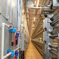 Équipement d'élevage en gros, cages à poulets, cages à volailles, cages à poules pondeuses pour élevage de poulets